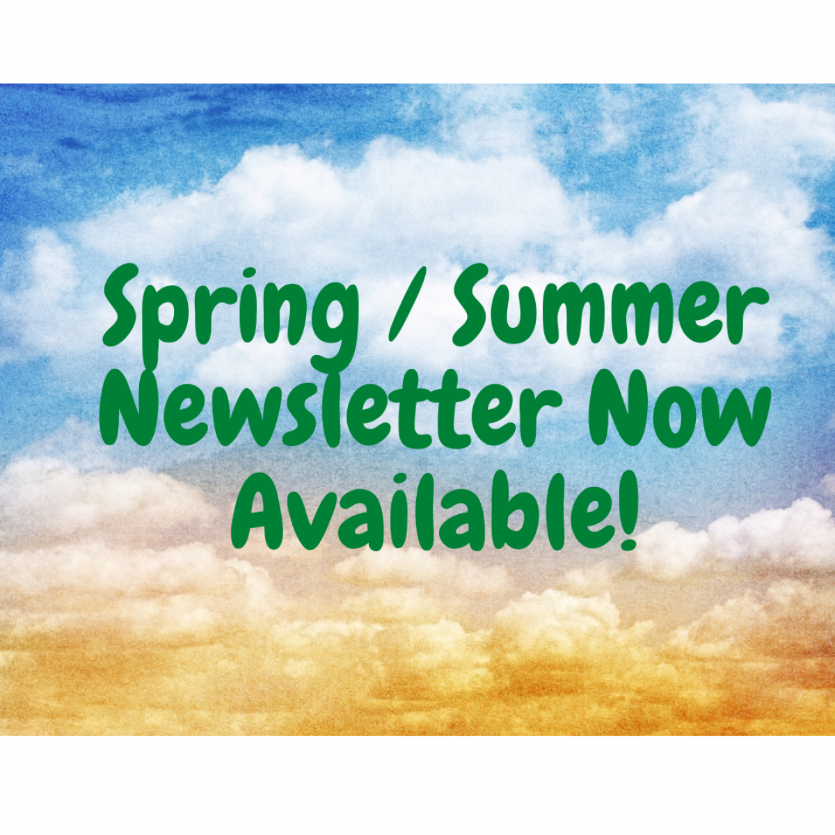 Spring Summer Newsletter